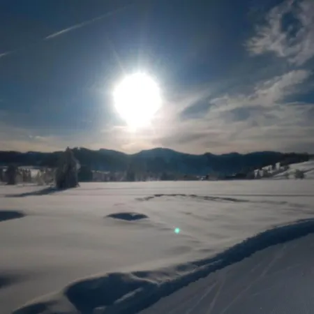 Διαμέρισμα In Bavaria Oberstaufen